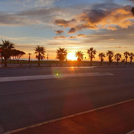 Appartement Saint Cyprien Plage Residence Les Mas De La Mer 外观 照片