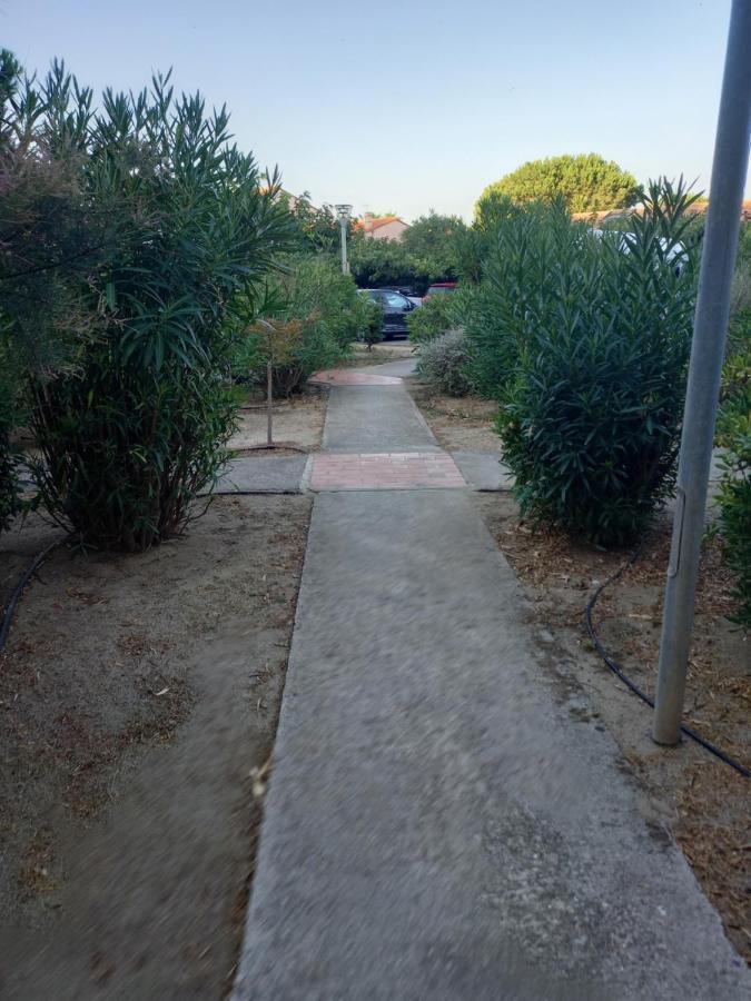 Appartement Saint Cyprien Plage Residence Les Mas De La Mer 外观 照片