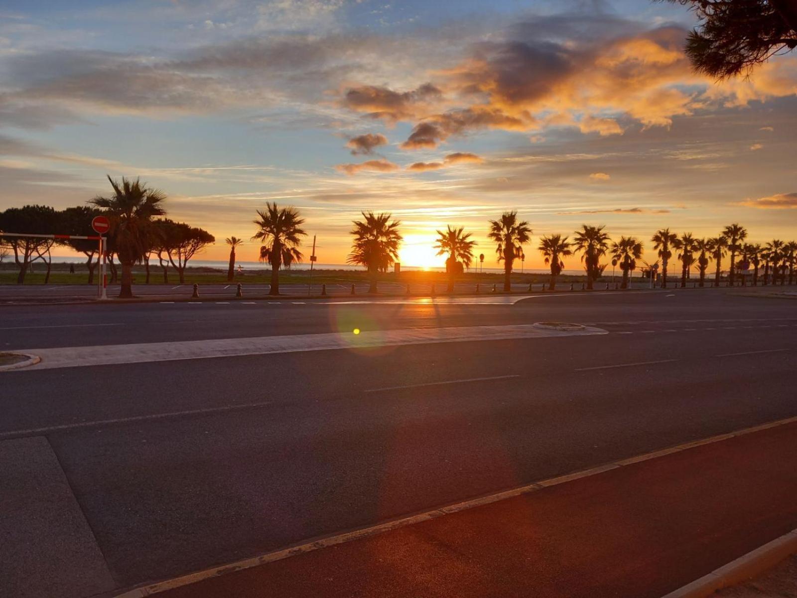 Appartement Saint Cyprien Plage Residence Les Mas De La Mer 外观 照片